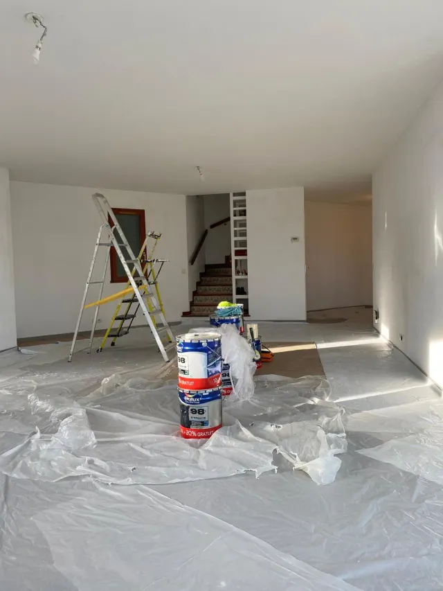 Soggiorno protetto prima della pittura